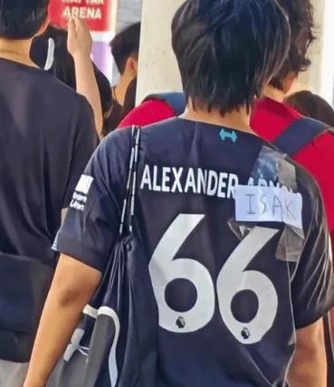 49219.jpg